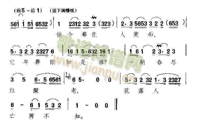 看不尽满眼春色富贵花(十字及以上)6