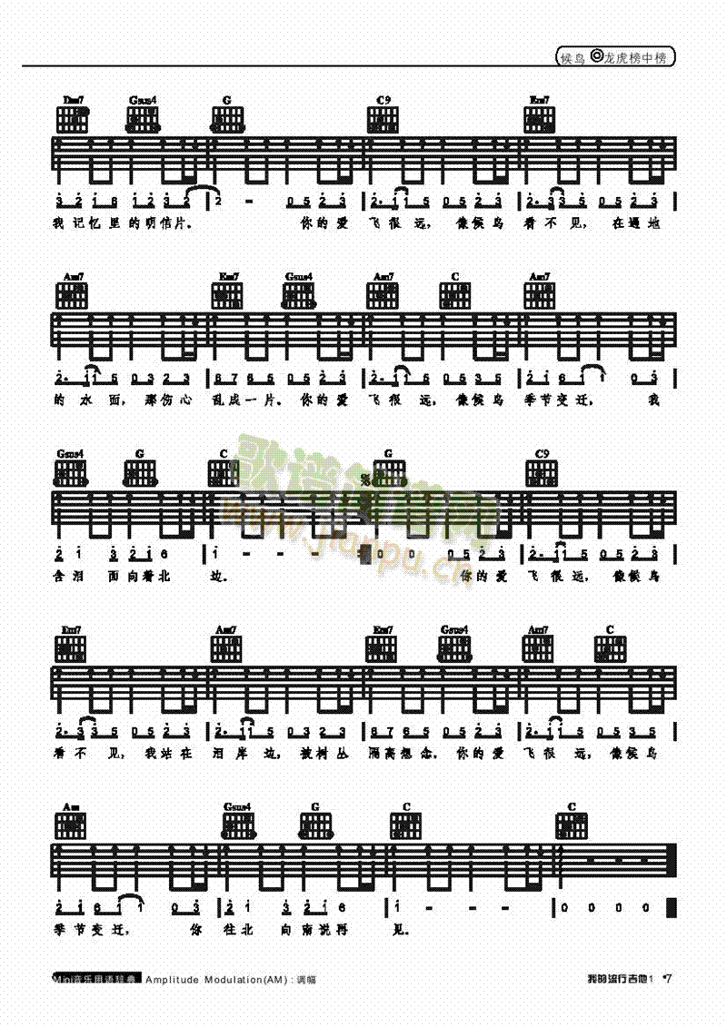 候鸟-弹唱吉他类流行 2