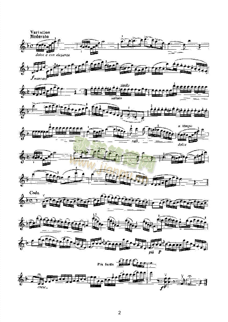 帕奇尼主题变奏曲弦乐类小提琴 2