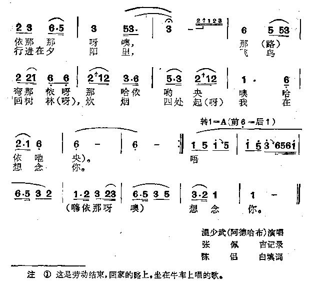 思念心爱的姑娘 2