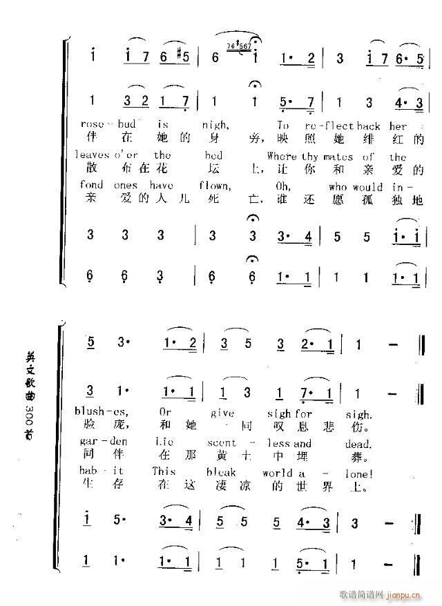 THE LAST ROSE OF SUMMER(十字及以上)3