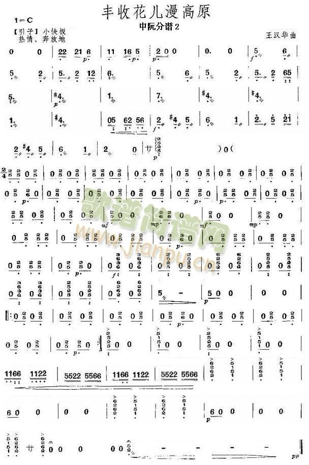 豐收花兒漫高原中阮分譜 2