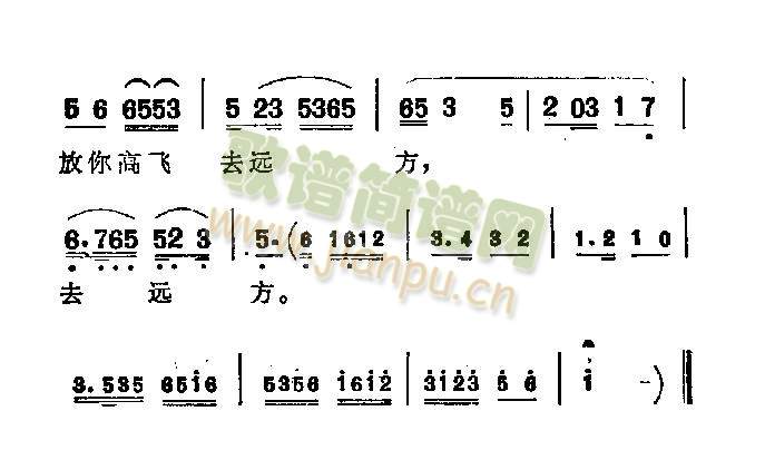 金丝鸟(其他)3