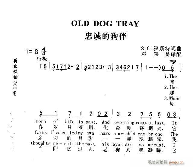 OLD DOG TRAY(十字及以上)1