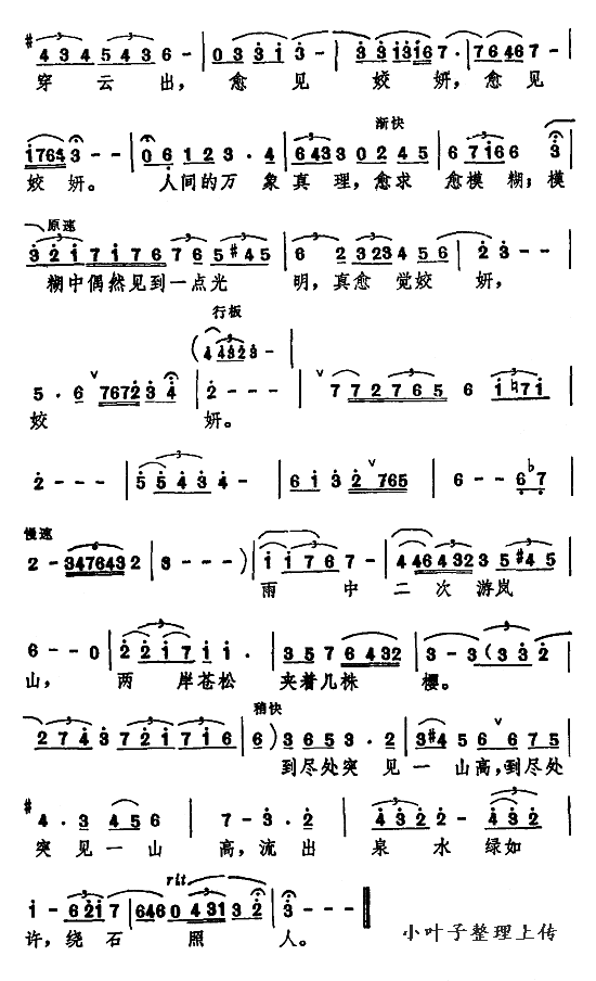 雨中岚山 2