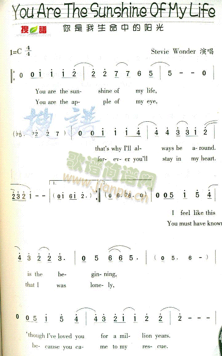 YouAreTheSunshineOfMyLife(十字及以上)1