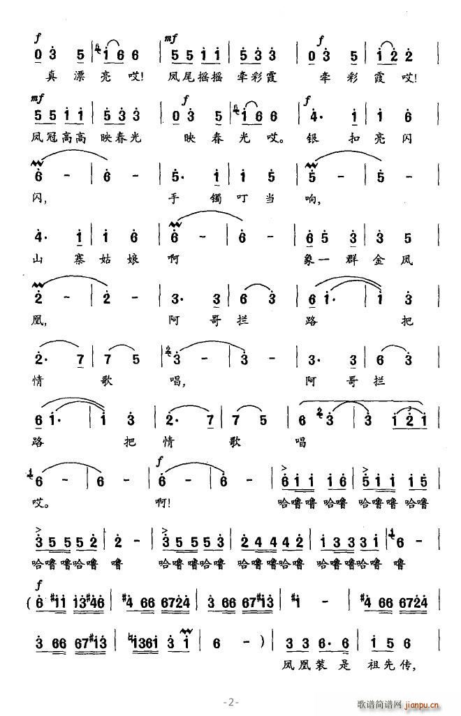 美丽的凤凰装 2