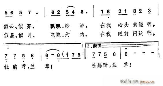 又见杜鹃 又见兰草 2