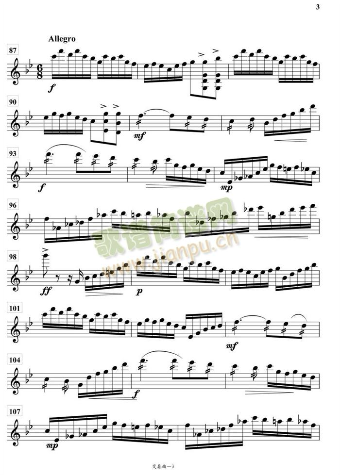 变奏曲柳琴分谱(总谱)3