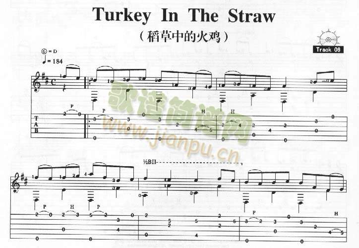TurkeyInTheStraw－稻草中的火鸡(吉他谱)1