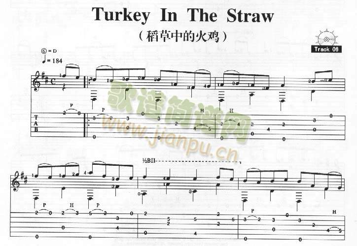 TurkeyInTheStraw－稻草中的火雞(吉他譜)1