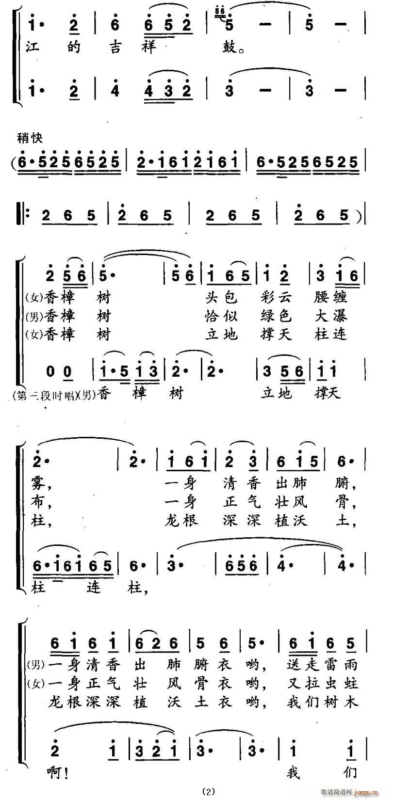 环绕高高香樟树 2