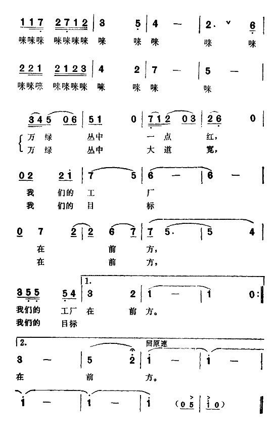 走在林荫大道上 2