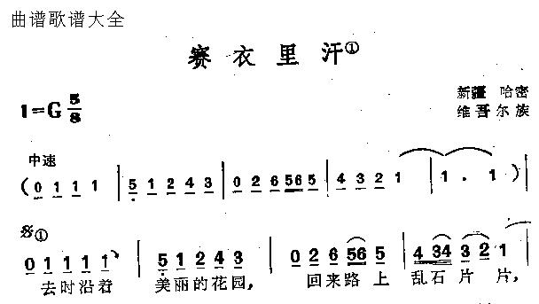 赛衣里汗(其他)1