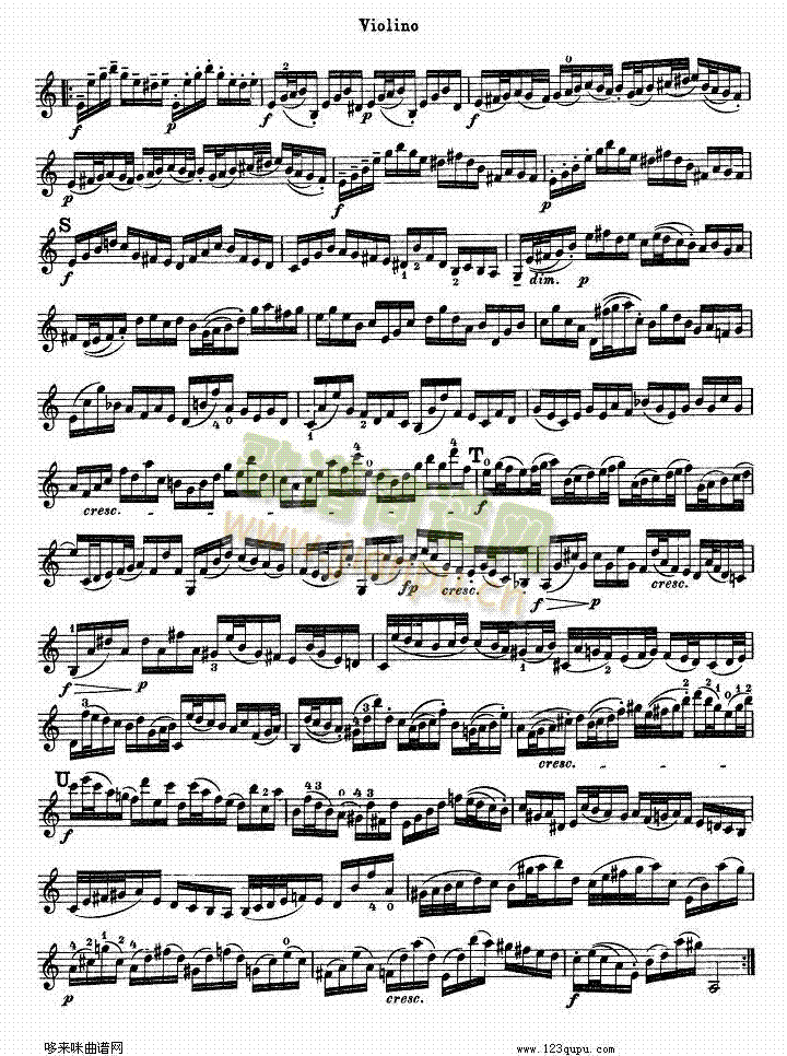 巴赫小提琴协奏曲2(其他乐谱)8