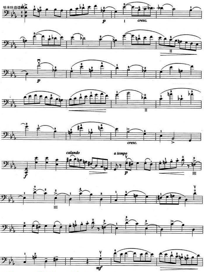 C小調协奏曲-巴赫 2