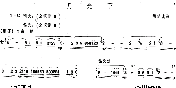 月光下(笛箫谱)1