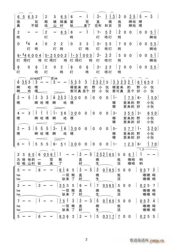 拉駱駝的黑小伙 混聲合唱 其他 2