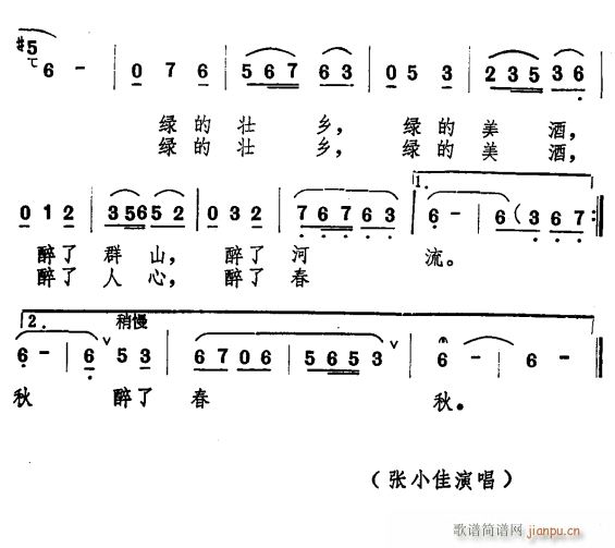 壮乡象杯绿色的酒 2