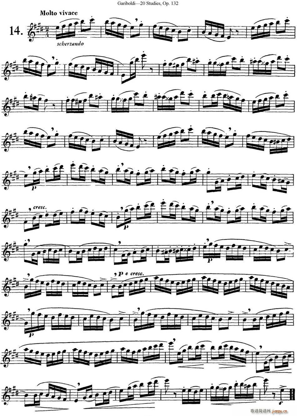 二十首练习曲作品132号之14(笛箫谱)1