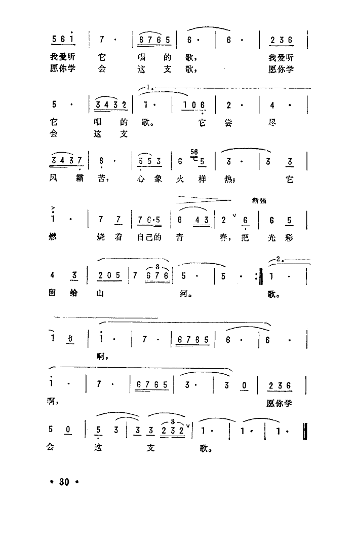 愿你学会这支歌 2