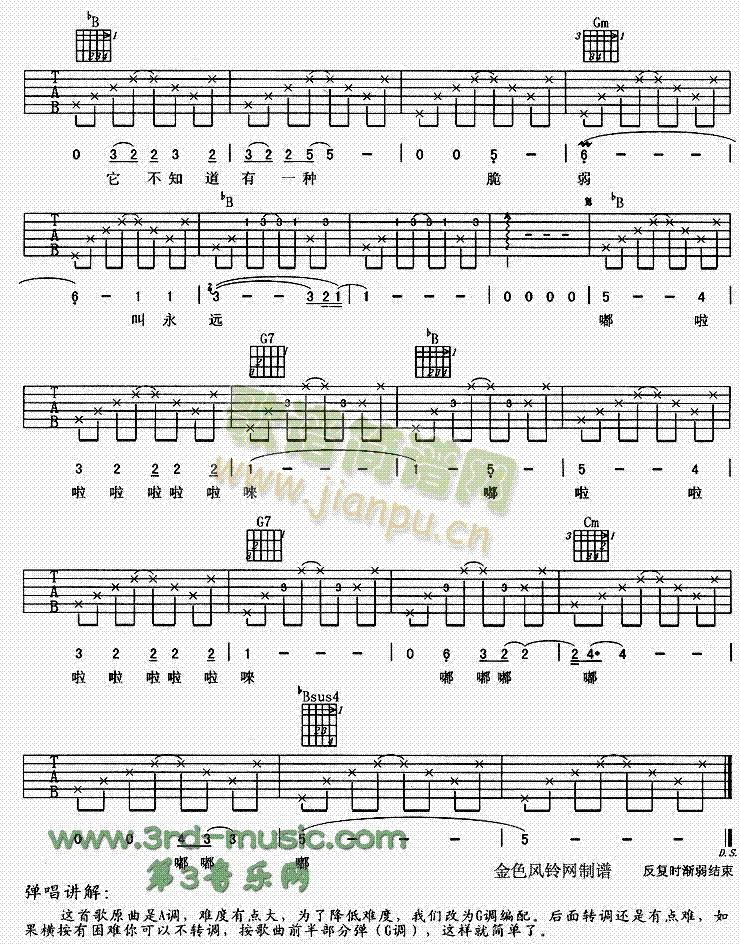 风花树 4