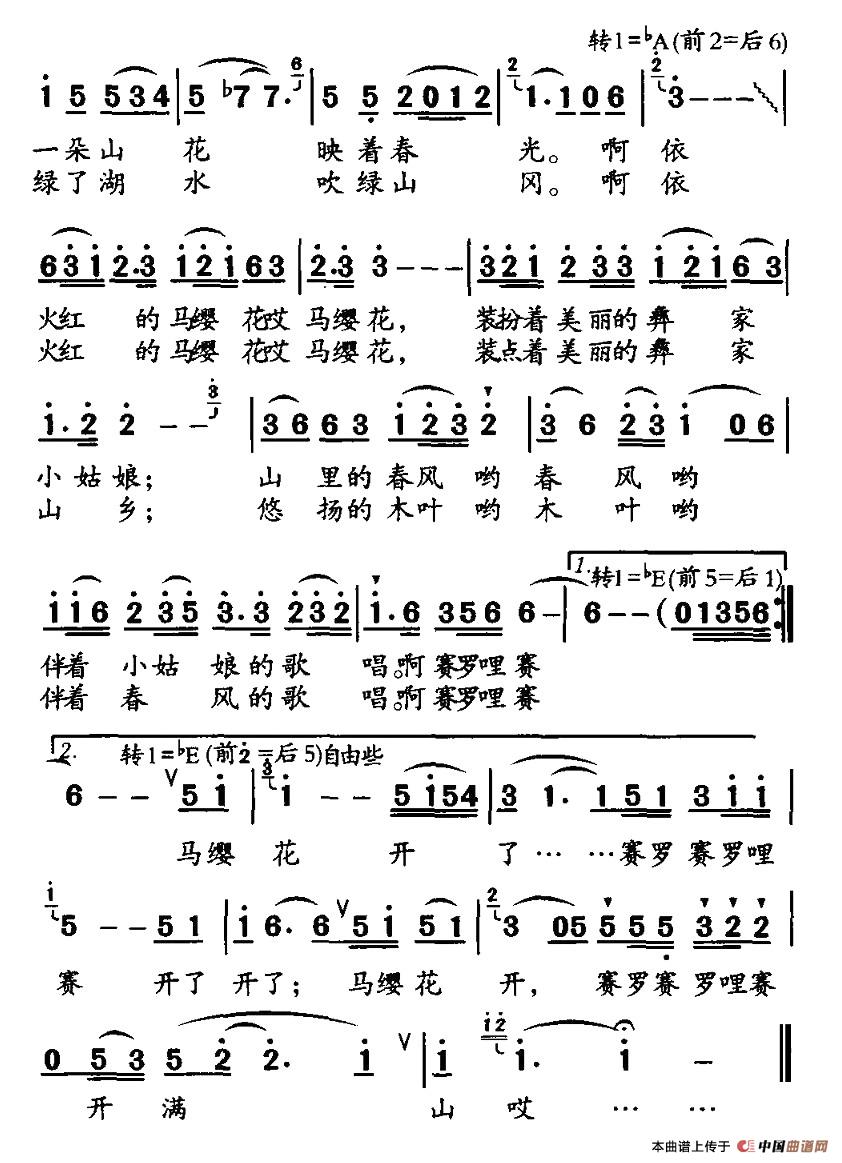 马樱花开 2