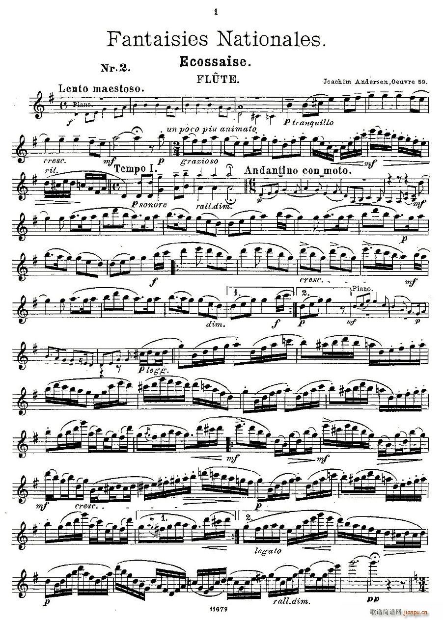 Fantaisies nationales. Op. 59, 2.(笛箫谱)1