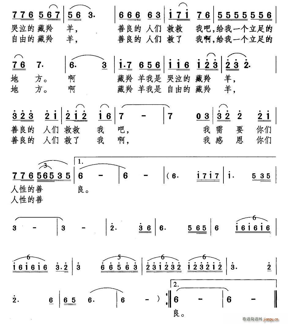 藏羚羊 2