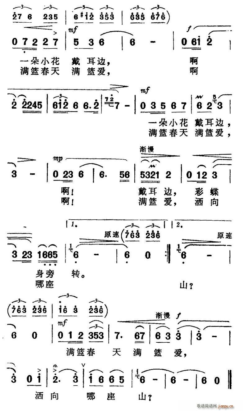 紫苜蓿开了 2