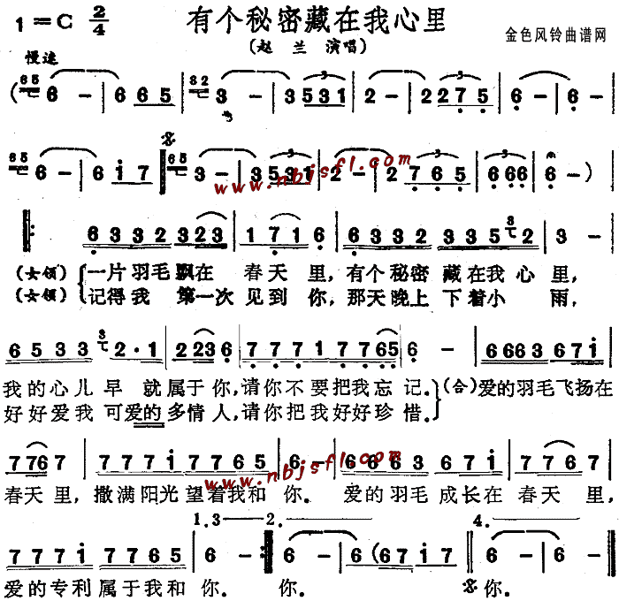 有个秘密藏在我心里(九字歌谱)1