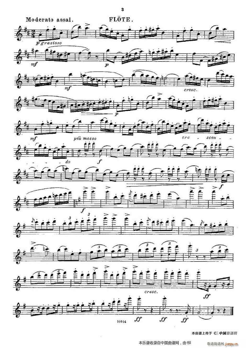 Opern Transcriptionen Op 45 4(笛箫谱)3