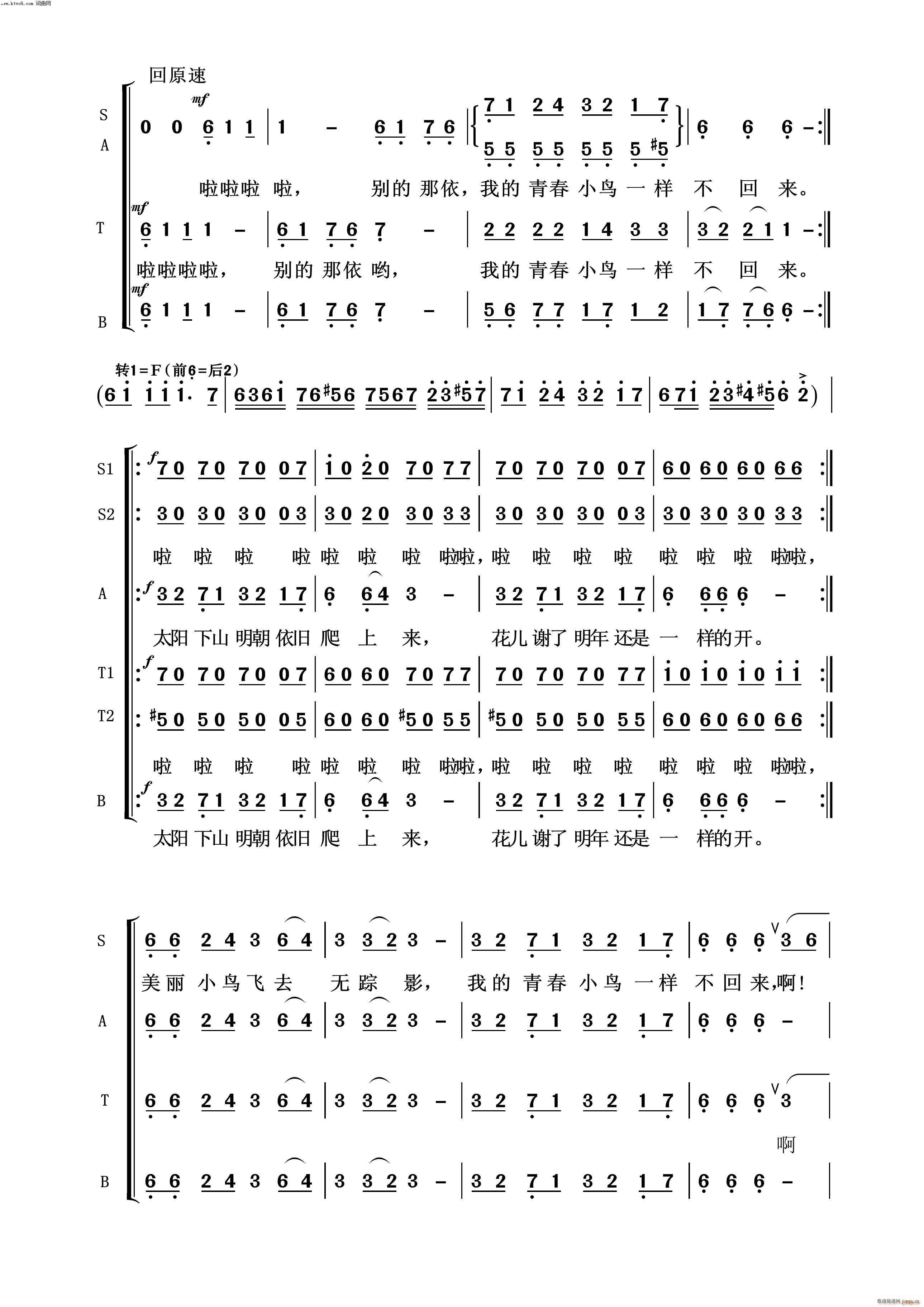 青春舞曲 常青放歌 2