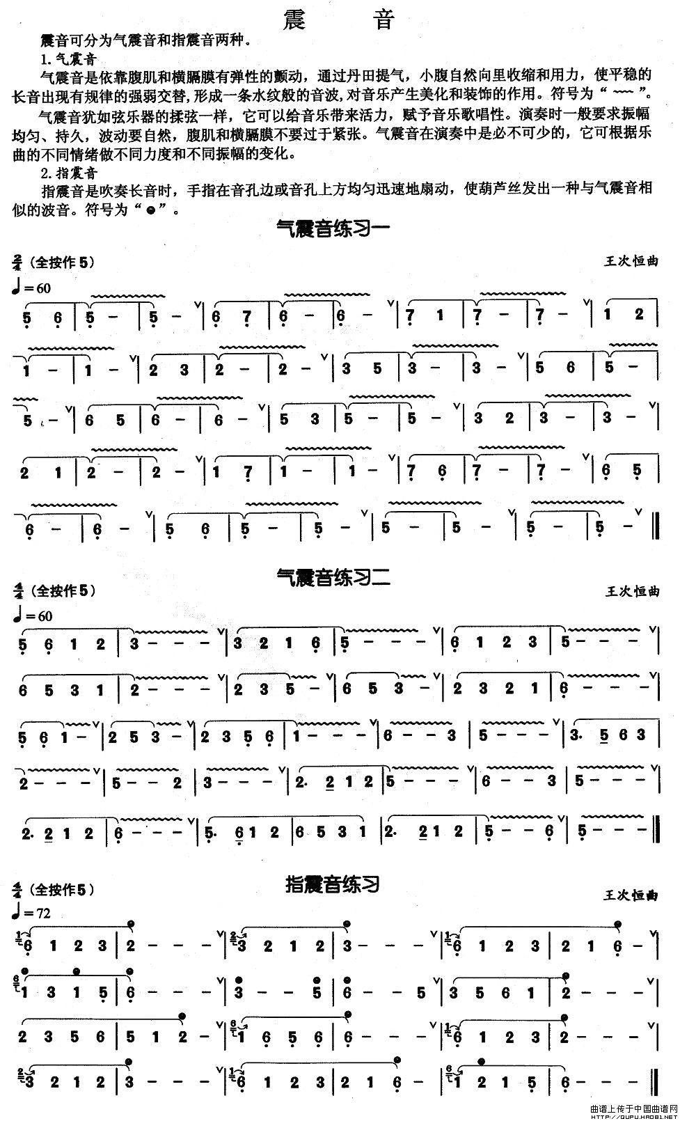 葫芦丝基本技巧练习曲--震音(其他乐谱)1