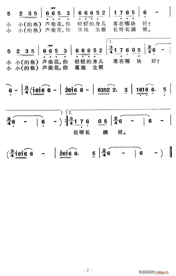 小小芦柴花 2