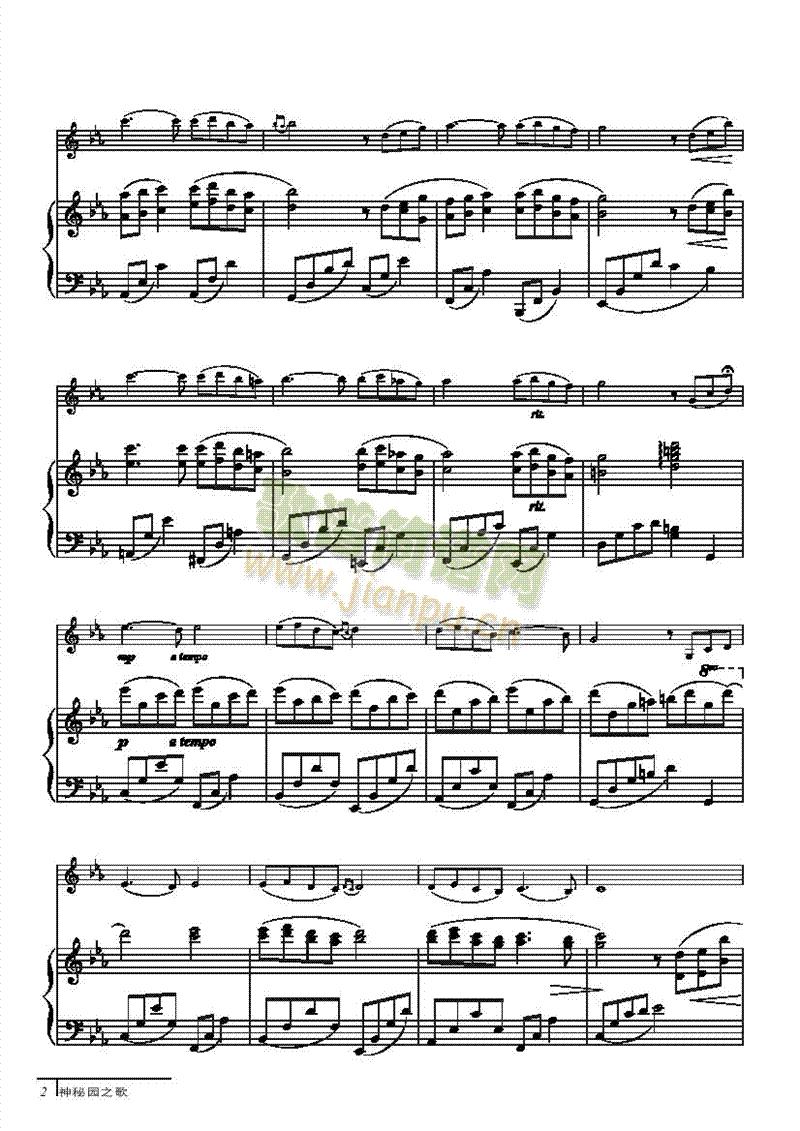 神秘园之歌-钢伴谱弦乐类小提琴 2