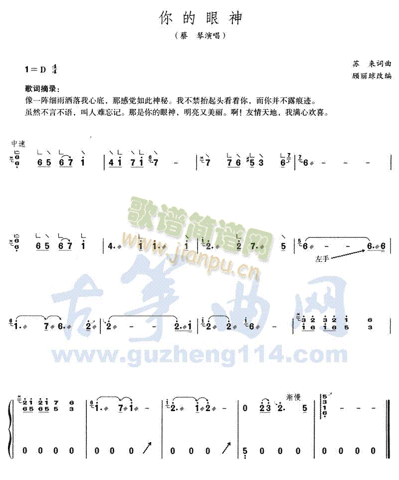 你的眼神(古筝扬琴谱)1