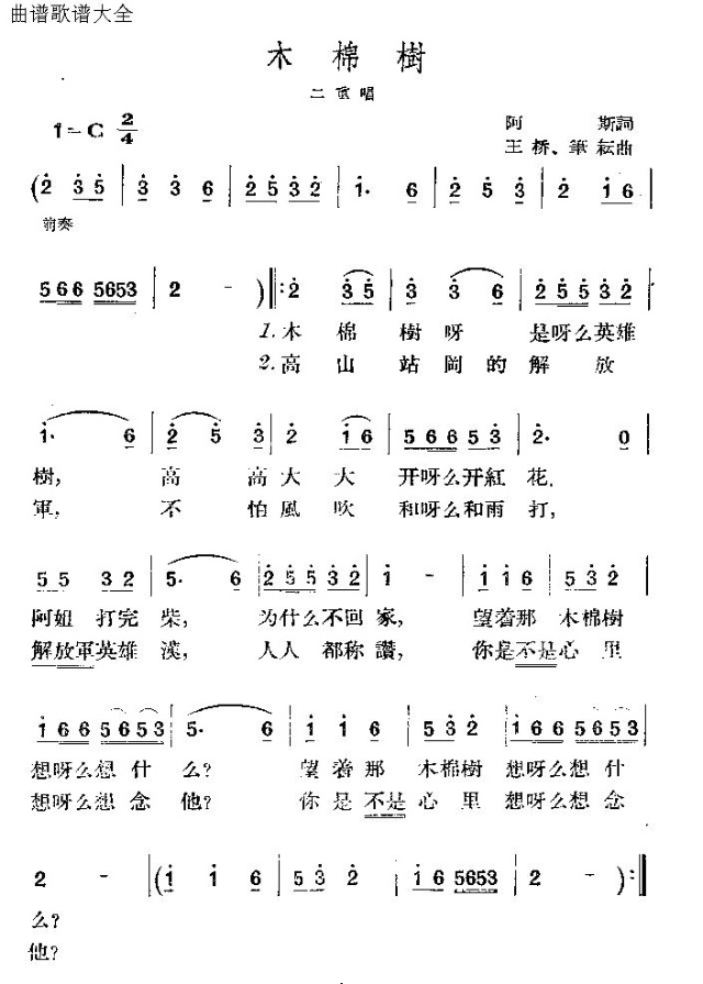 木棉树(其他)1