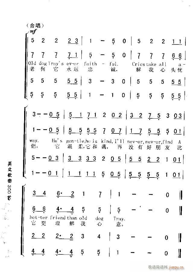 OLD DOG TRAY(十字及以上)3