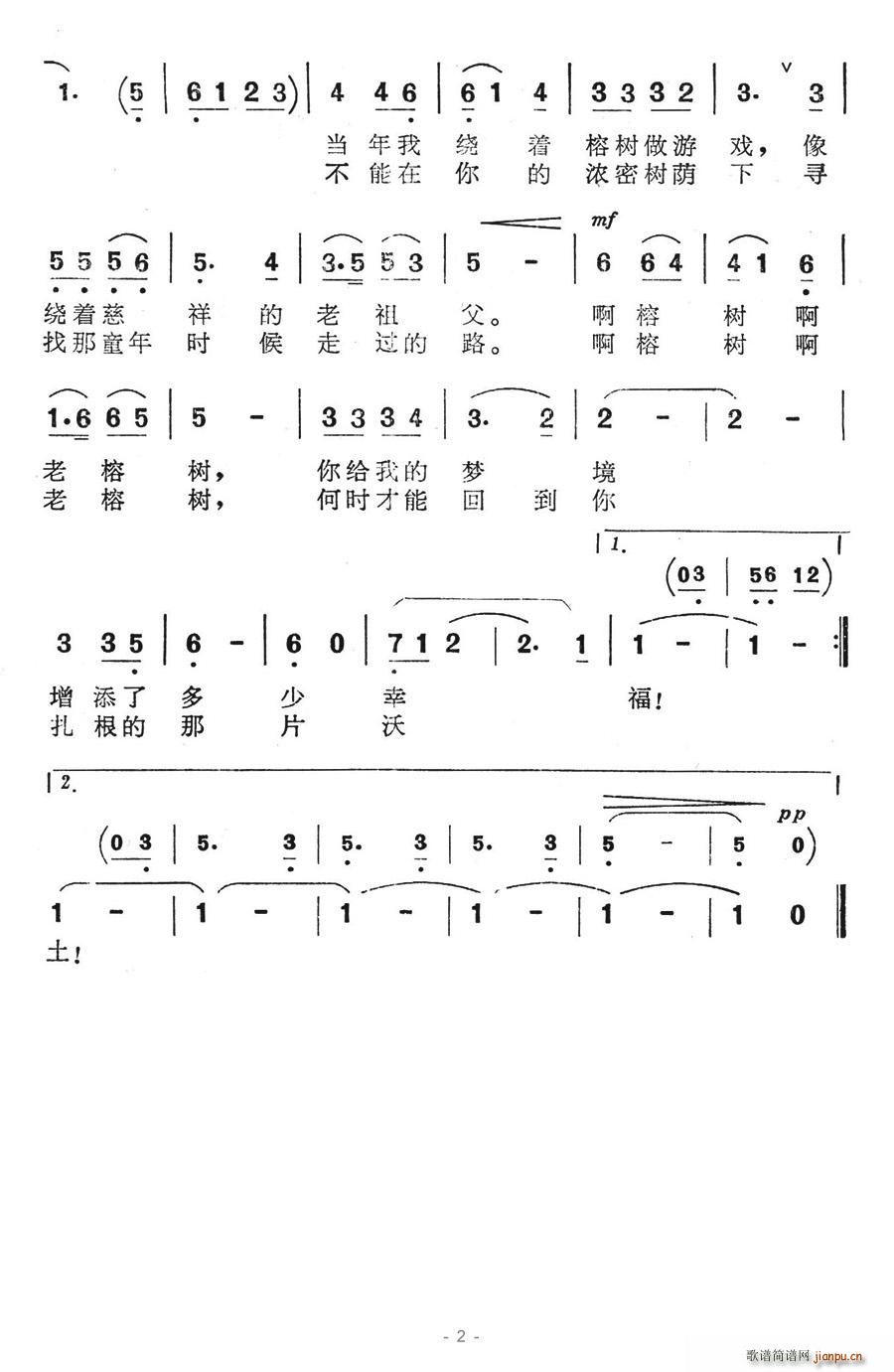 故乡的老榕树 2