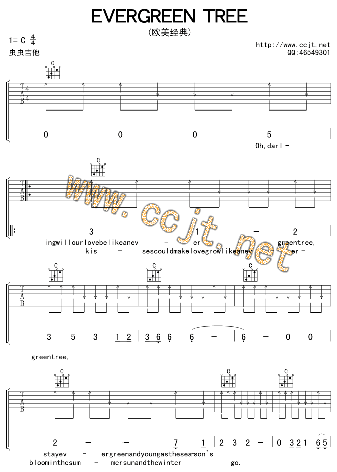 evergreentree吉他譜-(吉他譜)1