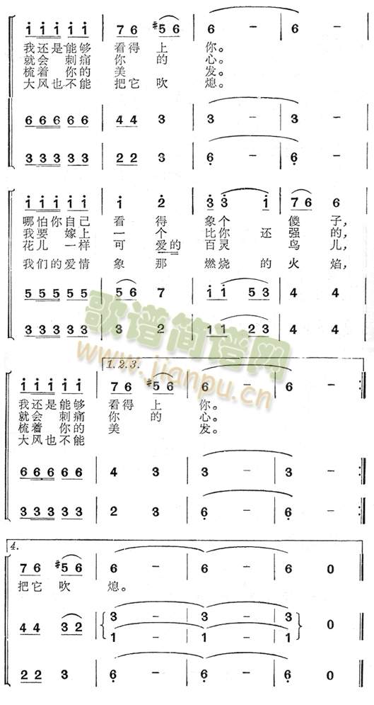 你送我一枝玫瑰花 2