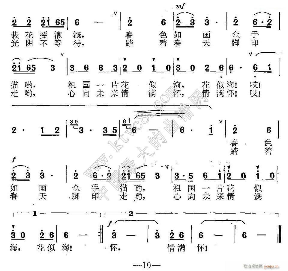 迎春 花儿开 2