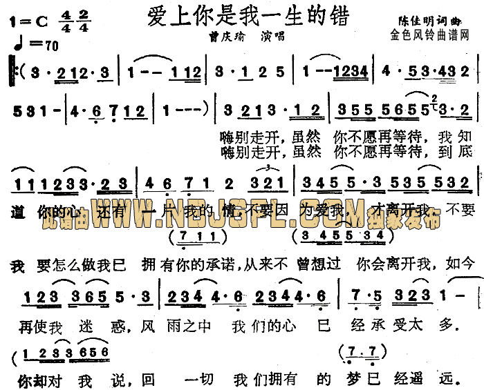 爱上你是我一生的错(九字歌谱)1