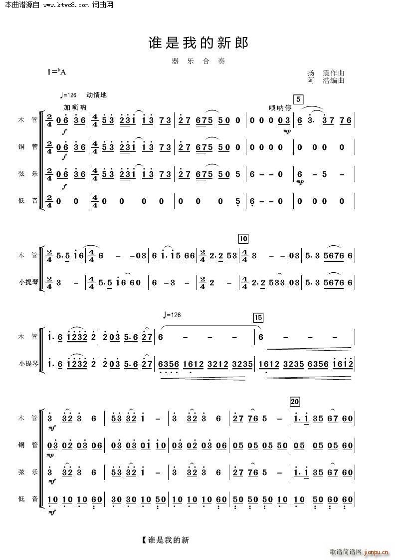 谁是我的新郎 器乐合奏(总谱)1