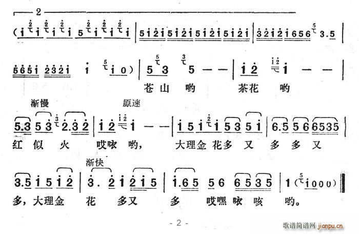 大理金花多又多 2