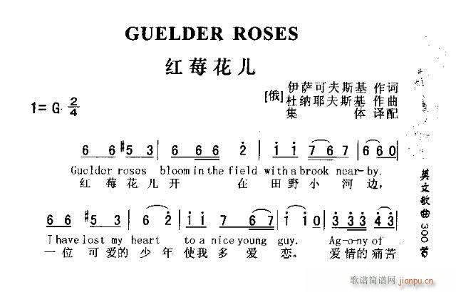 GUUELDER ROSES(十字及以上)1