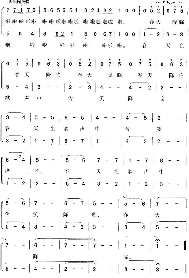 森林音乐会 2