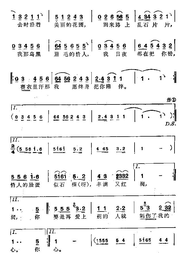 赛衣里汗 2