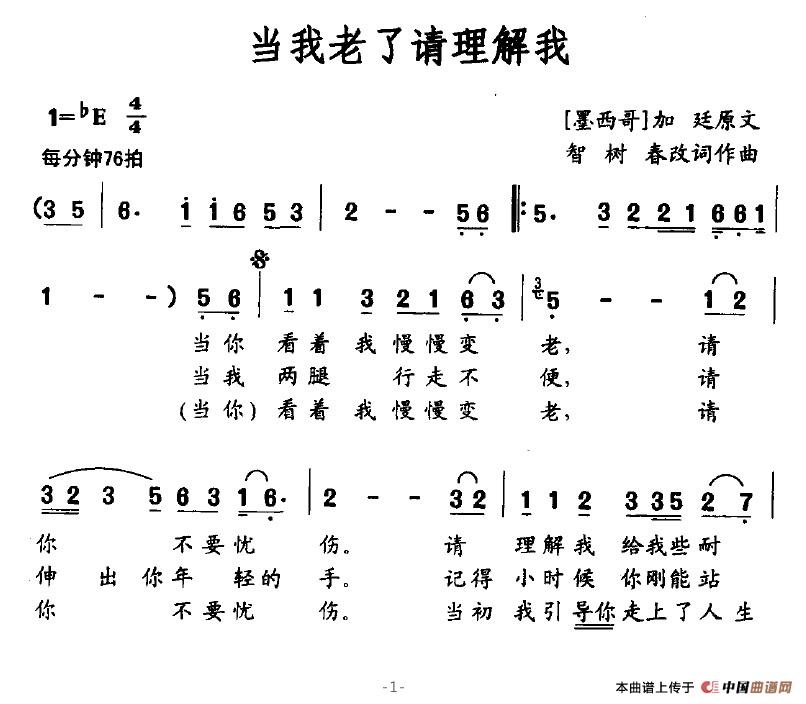 當(dāng)我老了請(qǐng)理解我(八字歌譜)1